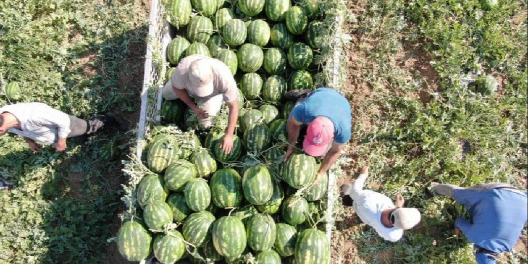 Türkiye’nin dört bir yanından akın ediyor, almak için saatlerce bekliyorlar! Üretici mutlu: Haftada 25 ton satıyorlar 6